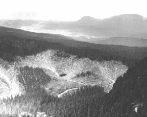 Ski area 1961